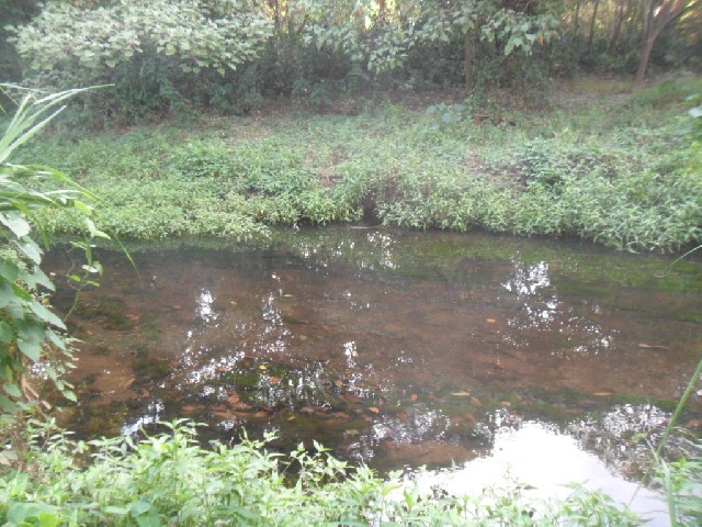 Foto 1 - Sitio em salinas mg rio perene terra bxa e plana